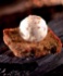 La glace autrement par Glaces des Alpes