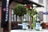 San Pellegrino, ‘so chic’