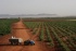 Accords vins et mets : pensez aux vins du Maghreb