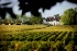 AOC pessac-léognan : des blancs et des rouges d'exception