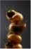 L'escargot a plus d'un tour dans sa coquille