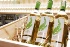 Des vins venus d'Asie