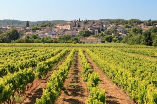 Le village de Carcès, dans le Var, produit une gamme de vins aromatiques aux senteurs de fruits.