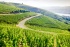 2011, une année record pour les vins de la Vallée du Rhône