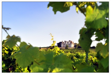 Le château de Monbazillac. Le château de Monbazillac.