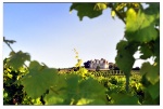 Les vins de Bergerac : une gamme variée pour la restauration