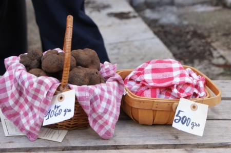 Les plus beaux lots ont été vendus 800 € le kilo sur la marché de Lalbenque (46). Les plus beaux lots ont été vendus 800 € le kilo sur la marché de Lalbenque (46).