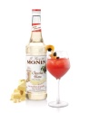 Deux sirops cacaotés chez Monin