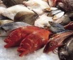 Brake soutient la pêche artisanale française