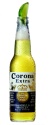 InBev nouveau distributeur de Corona pour la France