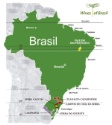 Le Brésil est aussi un pays de vin