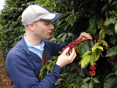 Michale McCauley dans une plantation de caféiers brésilienne.