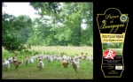 Lancement du poulet Le Prince de Bourgogne