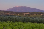 Carte des vins : côtes-du-rhône ou vallée du Rhône ?