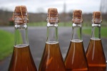 Cidre et fromages, les bonnes associations