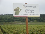 Fiche pratique : présentation de la Bourgogne vinicole