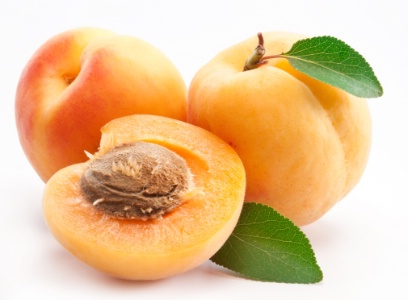 Dictionnaire Fruits Et Legumes Abricot Dictionnaire Fruits Et Legumes Abricot
