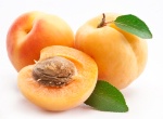 Dictionnaire fruits et légumes : Abricot