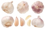 Dictionnaire fruits et légumes : Ail