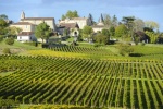 Fiche pratique : les vins de Saint-Émilion, Pomerol, Fronsac (Libournais)