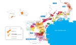 Fiche pratique : les vins du Languedoc et du Roussillon