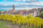 Caractère des vins d'Alsace et accord avec les mets