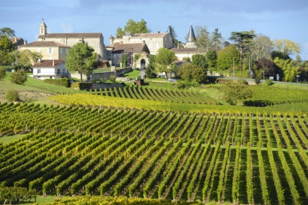 Les vignobles de Saint-Emilion. Les vignobles de Saint-Emilion.