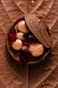 Sans pour Cent : une recette sucrée signée Frédéric Bau, directeur artistique Valrhona. Sans pour Cent : une recette sucrée signée Frédéric Bau, directeur artistique Valrhona.