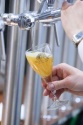 Bière :  ce qu'il faut connaître sur les dates de durabilité minimale avec Brasseurs de France