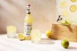 Le Concentré de Monin Citron/Citron Vert