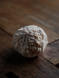 Le céleri affiné comme un fromage par Jérôme Jaegle.