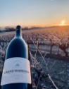 Vignobles de Marrenon : l'histoire d'un repositionnement réussi