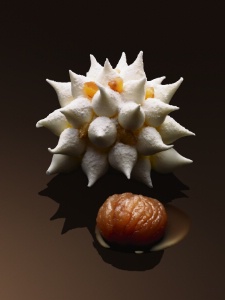 Le marron selon Christophe Michalak Le marron selon Christophe Michalak