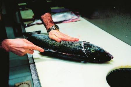 Incisez le long de l'épine dorsale sur toute la longueur du saumon.