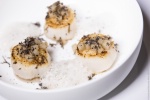 Noix de coquilles Saint-Jacques, topinambours et truffes