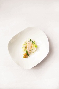 Reine des prés, langoustine Reine des prés, langoustine
