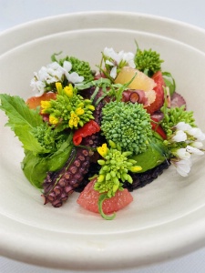 Poulpe de roche mariné à l'huile vanille, riz vénéré, brocoli au carvi, agrumes et piquillos Poulpe de roche mariné à l'huile vanille, riz vénéré, brocoli au carvi, agrumes et piquillos
