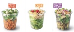Mc Donald's sort de nouvelles salades