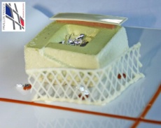 Le pavillon français de l’Exposition universelle transformé en dessert par Jean-Christian Chevalier, chef pâtissier du Jardin des sens.