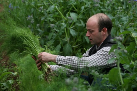Emmanuel Herbin est toujours à la recherche de nouveaux produits issus de la Terre de Feu. Emmanuel Herbin est toujours à la recherche de nouveaux produits issus de la Terre de Feu.