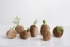 Design culinaire au Sial