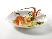 Langouste puce, copeaux d'asperge verte et fougère pousse, crème d'ail d'ours.