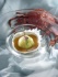 Recette de Patrick Jeffroy, Hôtel-Restaurant de Carantec : Araignée en papillote de chou, crème d'étrille