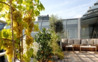 La terrasse.