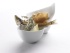 Rillettes de sardines