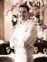 Michelin 2011 : Un chef sachant s’entourer