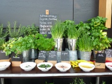 Un choix d'herbes fraîches à disposition des clients. Un phénomène qui s'étend.