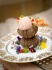 Oursin en coque, mousseline de chou romanesco et tartine croustillante