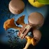 Jardin marin, le macaron de mars de Pierre Hermé
