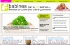 Des recettes pour les chiens